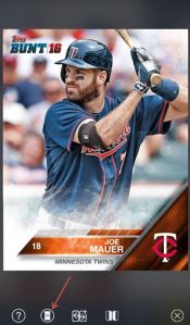 Bunt 2016 Pack Button