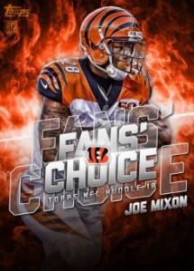 2018 huddle fans choice